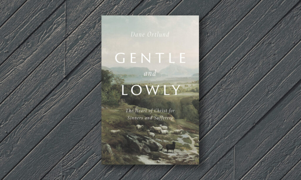 Gentle and Lowly: A Short and Constructive Review - John Sherwin Banks